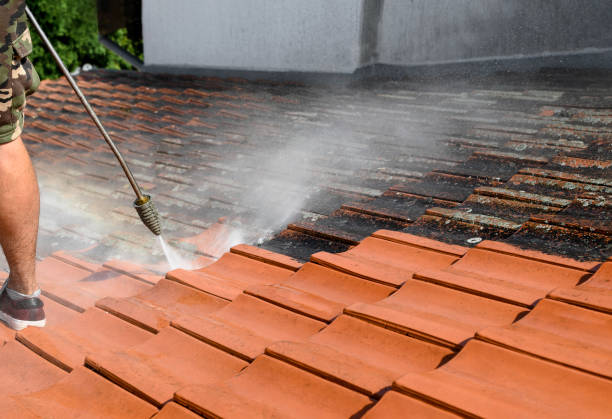 Best Concrete Pressure Washing  in Wink, TX